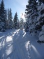 /album/fotogalerie-w/koralpe-2013-021-jpg/